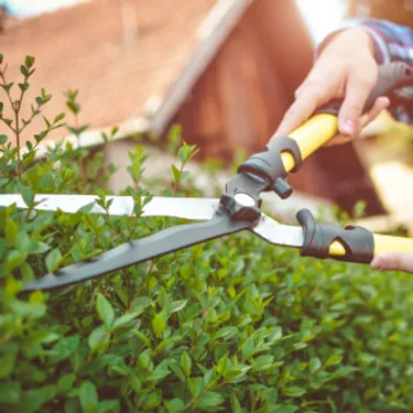 Gerätegemeinschaften sind nachhaltig, da man sich nicht jedes Gerät extra kaufen muss. Das Bild zeigt eine Heckenschere.