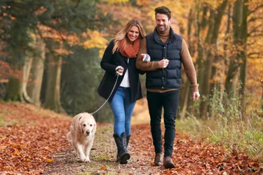 Zeit statt Zeug: Wer Zeit schenkt, schenkt nachhaltig. Das Bild zeigt ein Paar mit ihrem Golden-Retriever-Hund beim Spazierengehen. 