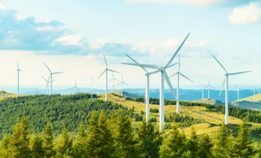 Dieses Bild zeigt einen Windpark mit mehreren Windrädern in der Natur.