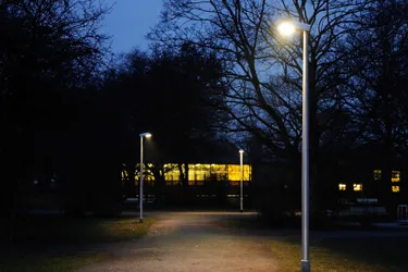 Strassenlaterne LED Springe