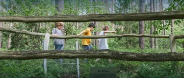 Natur erleben. Dieses Bild zeigt drei Kinder, zwei Jungen und ein Mädchen, die über eine Brücke im Wald gehen. 