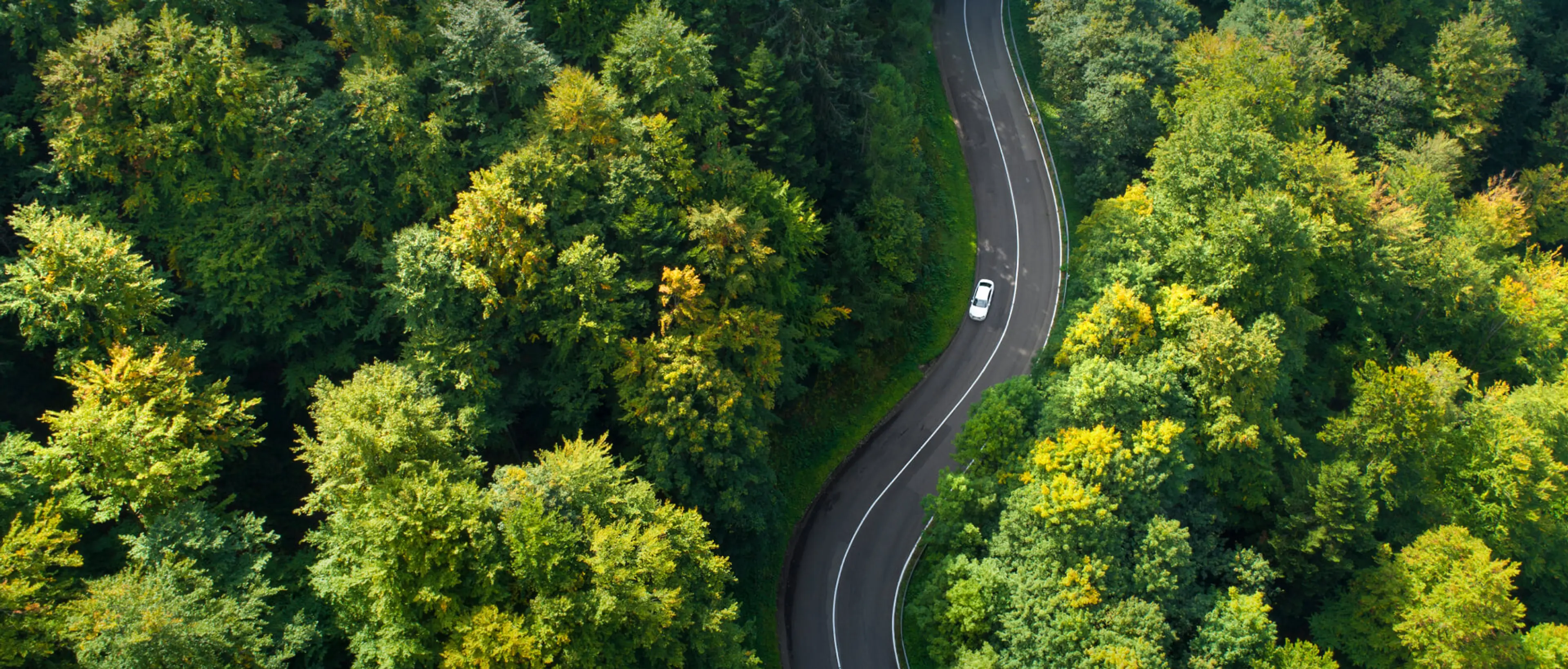 Auto auf Landstraße Dieses Bild zeigt eine Landstraße umgeben von vielen Bäumen, auf der ein Auto fährt.