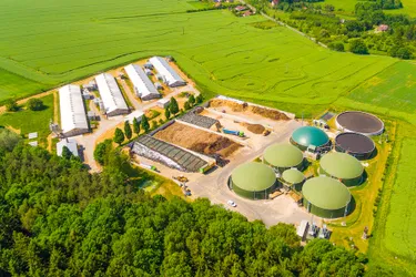 Das Bild zeigt eine Biomasseanlage von oben. In einer solchen Anlage werden Stoffe, Gase oder Flüssigkeiten organischer Herkunft verfeuert, um Strom zu erzeugen.