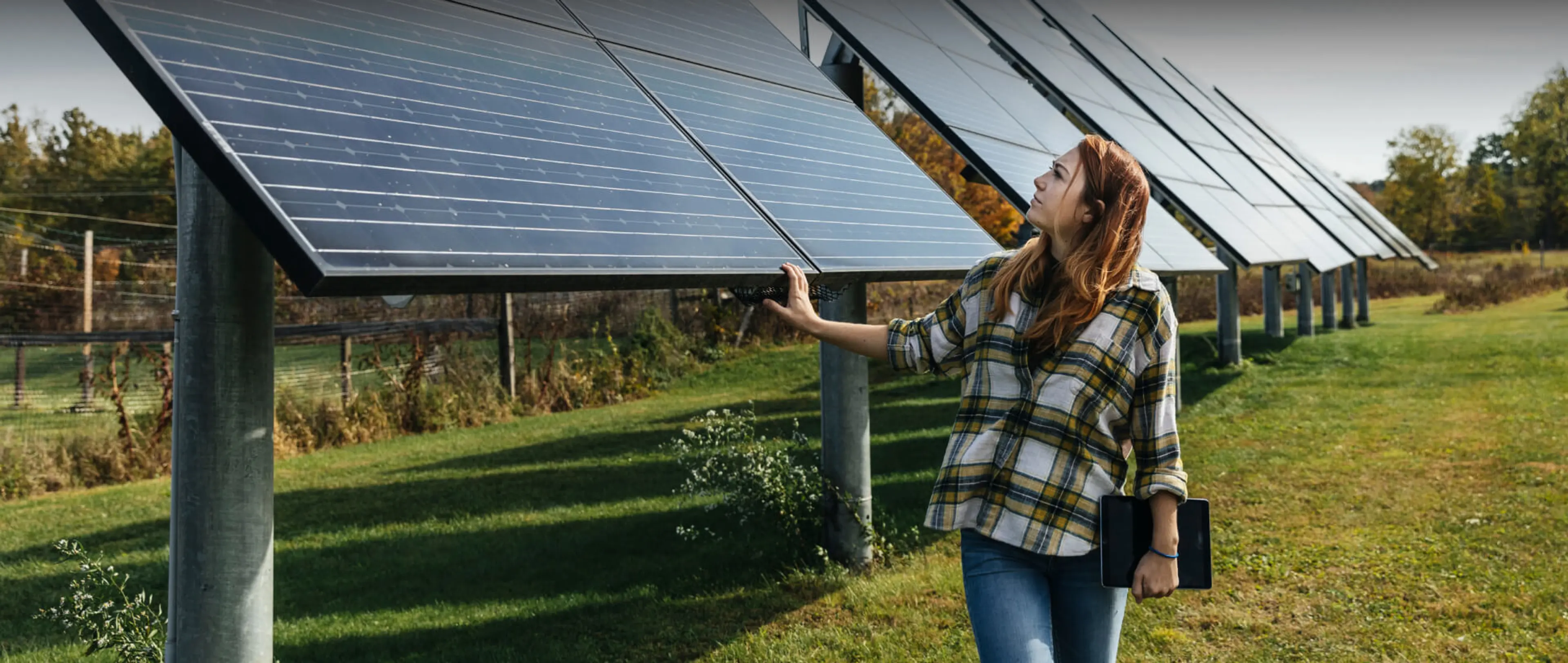 Agri-PV Eine Frau schaut sich eine Agri-PV-Anlage an.