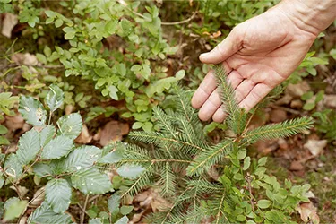 307_A7307333_445x297