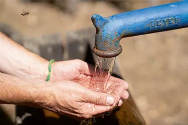 307_A7307390_445x297