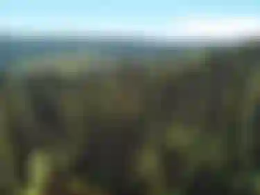 Der Bayerische Wald als Klimaschützer: Das Bild zeigt eine Luftaufnahme des bayerischen Waldes bei Tag.