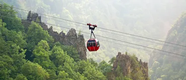 Der Wald im Harz als Klimaschützer: Zu sehen ist eine Gondel, die über einen Wald im Harz fährt.