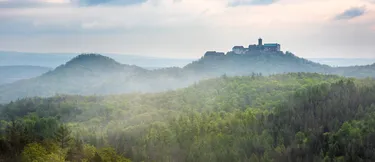Der Thüringer Wald als Klimaschützer: Das Bild zeigt den Thüringer Wald mit der Burg Greifenstein im Hintergrund.