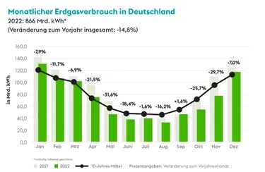 Monatlicher Erdgasverbrauch in Deutschland