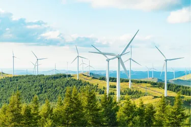 Dieses Bild zeigt Windräder in einem hügeligen Waldgebiet.