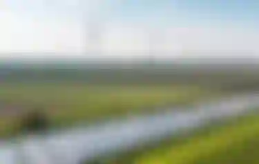 Agrarlandschaft mit PV-Anlage im Vorder- und Windrädern im Hintergrund