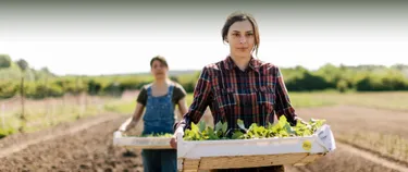 Frauen tragen Kisten mit Gemüse