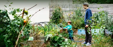 Junger Mann gießt mit kleinem Kind Pflanzen im nachhaltigen Garten