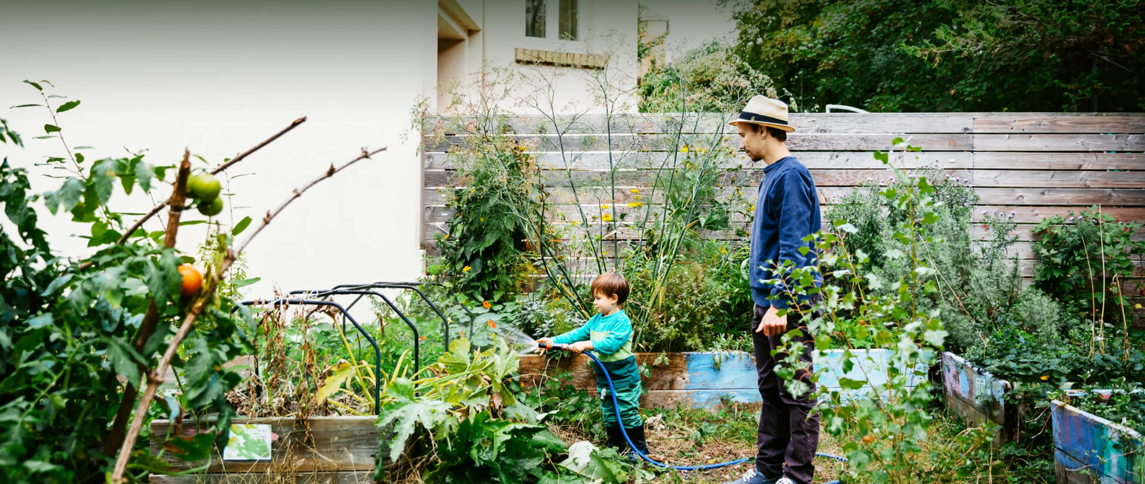 regenwasser-sparen Ein Mann und ein Junge stehen in einem Garten. Der kleine Junge sprengt ein Hochbeet mit Regenwasser.