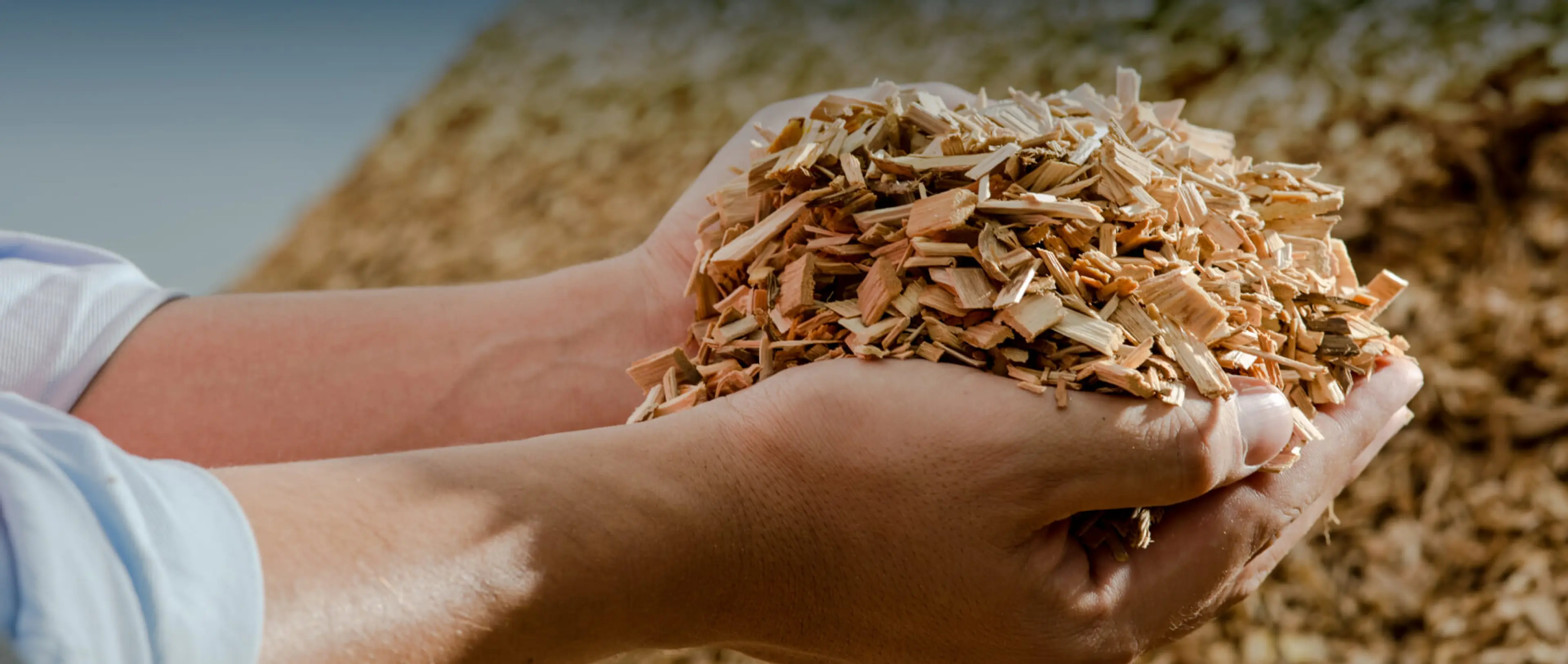 Holzpellets in einer Handfläche