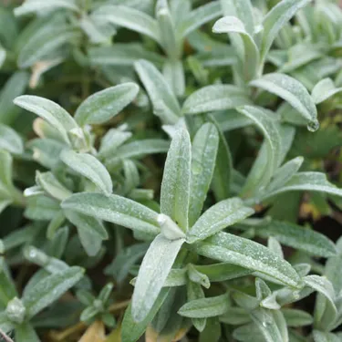 3-gaertnern-fuer-klimaschutz