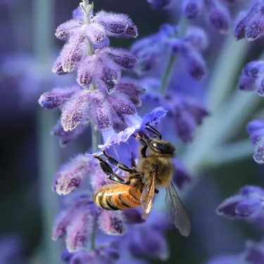 4-gaertnern-fuer-klimaschutz