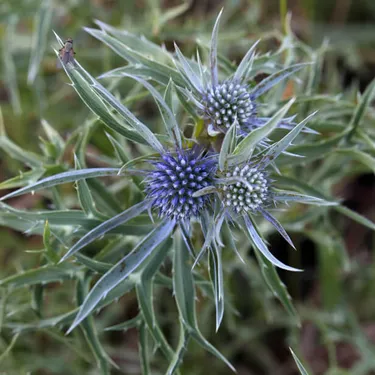 5-gaertnern-fuer-klimaschutz
