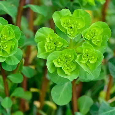 6-gaertnern-fuer-klimaschutz