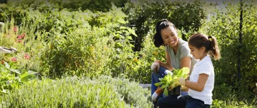 header-gaertnern-fuer-klimaschutz