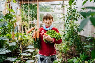 ernaehrung-umweltbewusstsein