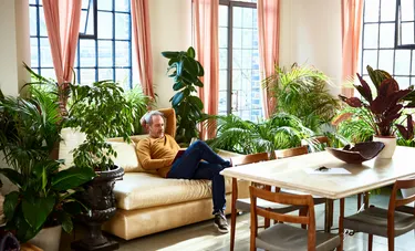 Ein Mann sitzt umringt von zahlreichen Grünpflanzen in einem Wohnzimmer auf einem Sofa und liest