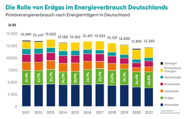 Der Infografik ist die Rolle von Erdgas im Energieverbrauch Deutschlands im Vergleich zu anderen Energieträgern zu entnehmen