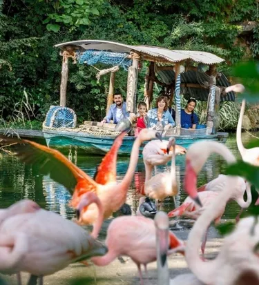 Bootsfahrt mit Flamingos