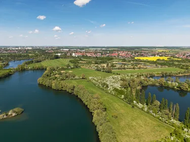 pattensen