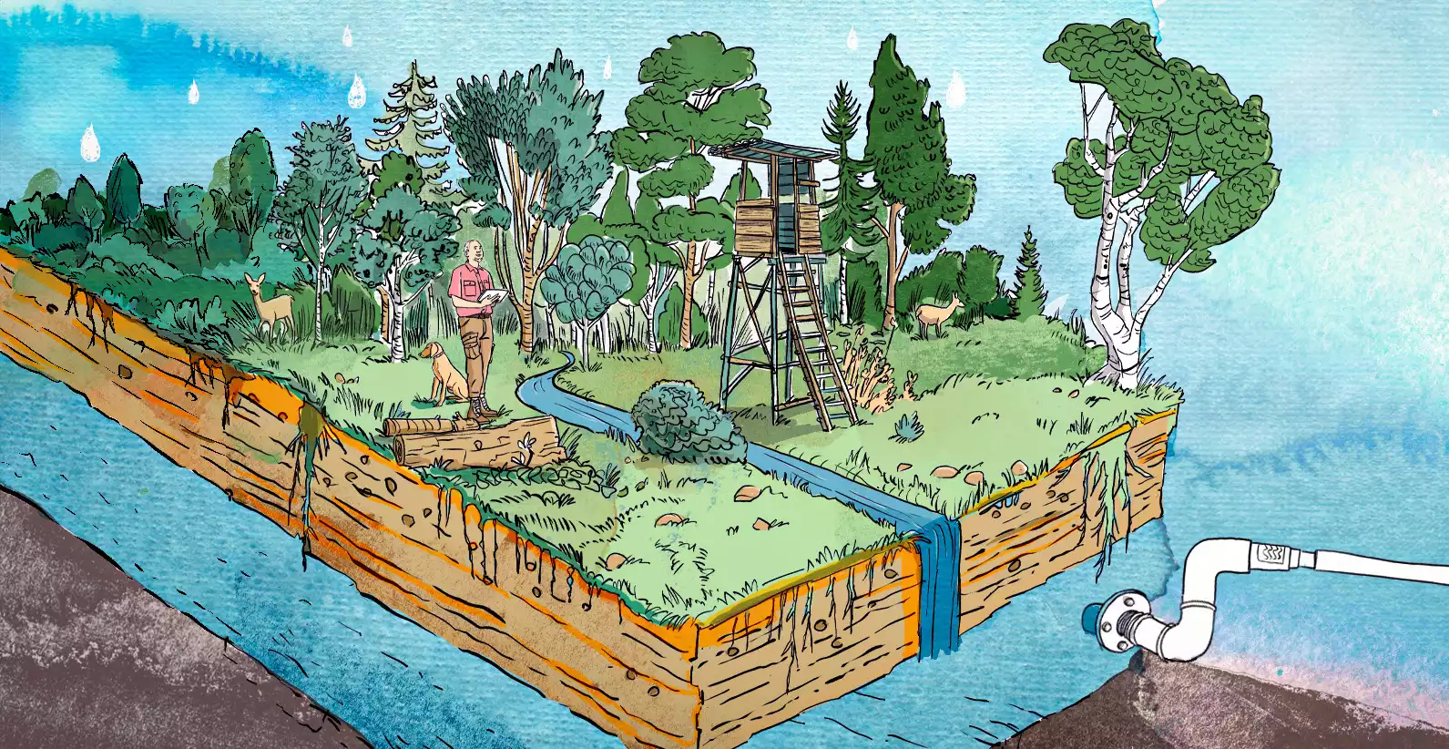 Illustrierte Waldlandschaft mit Hochsitz, Jäger und Hund auf einer Insel. Ein Bach fließt durch die grüne Idylle. Rehe im Hintergrund.