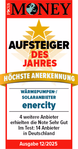Focus Money - Aufsteiger des Jahres